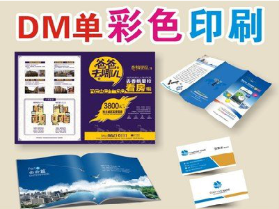  固始单页印刷，色彩搭配简单。